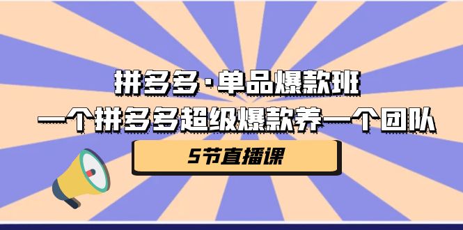拼多多·单品爆款班，一个拼多多超级爆款养一个团队（5节直播课）云创资源网-云创-资源网云创资源