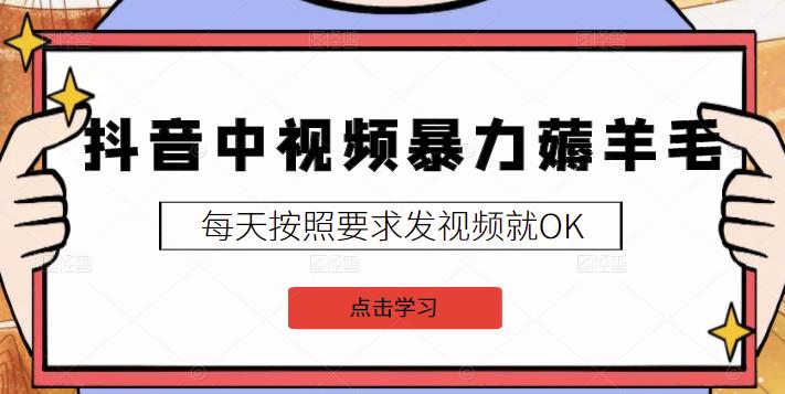 2022抖音中视频暴力薅羊毛白嫖项目：新号每天20块，老号几天几百块，可多号￼云创资源网-云创-资源网云创资源