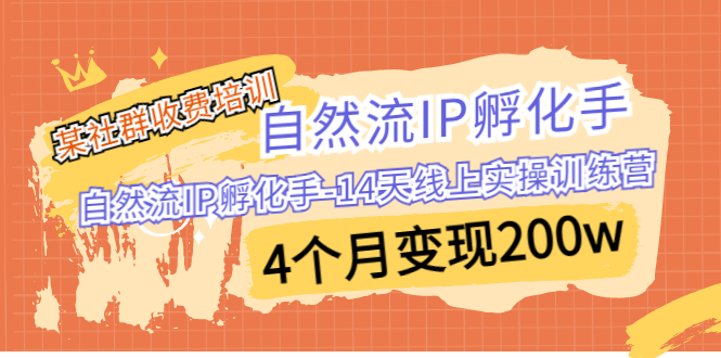 某社群收费培训：自然流IP 孵化手-14天线上实操训练营 4个月变现200w云创资源网-云创-资源网云创资源