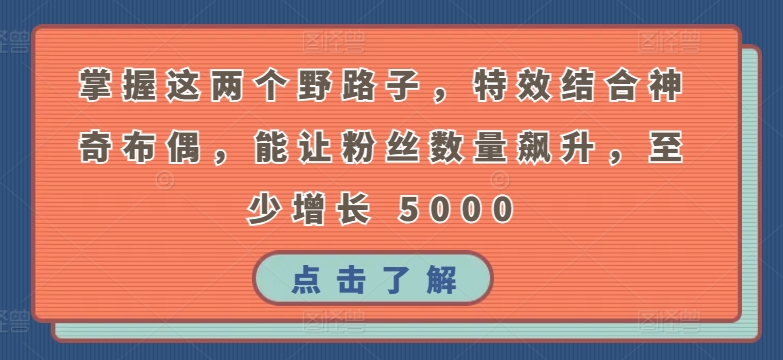 掌握这两个野路子，特效结合神奇布偶，能让粉丝数量飙升，至少增长 5000云创资源网-云创-资源网云创资源