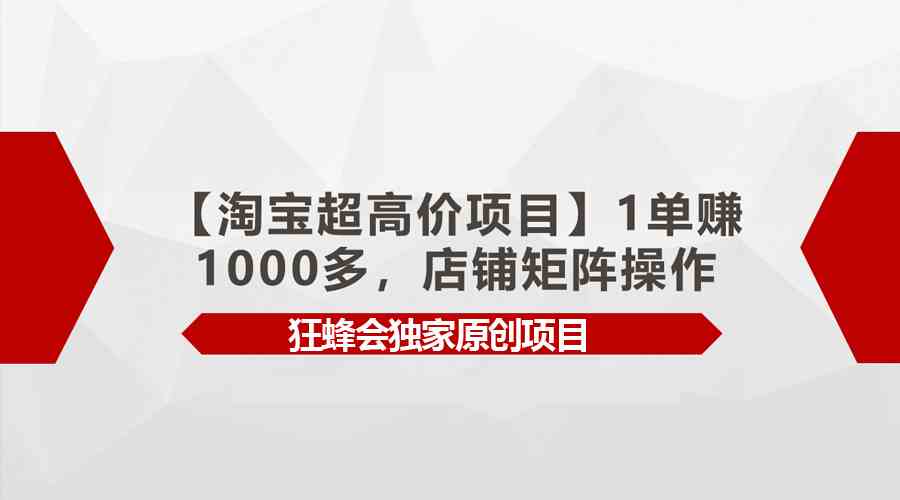 （9849期）【淘宝超高价项目】1单赚1000多，店铺矩阵操作云创资源网-云创-资源网云创资源