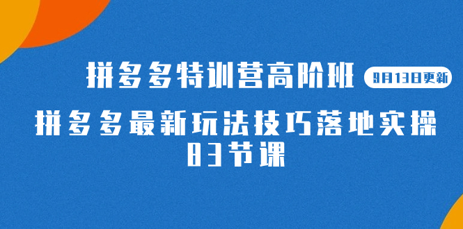 2023拼多多·特训营高阶班【9月19日更新】拼多多最新玩法技巧落地实操-83节云创资源网-云创-资源网云创资源