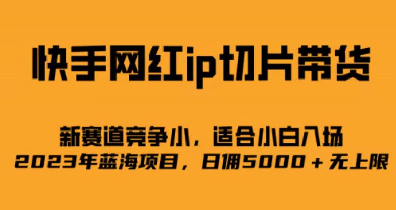 快手网红ip切片新赛道，竞争小事，适合小白 2023蓝海项目云创资源网-云创-资源网云创资源