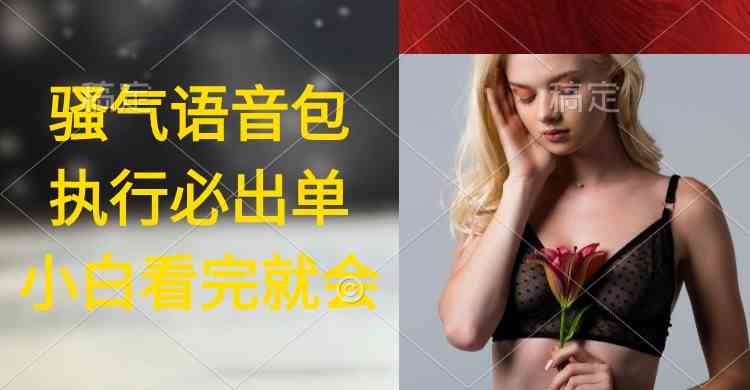 （9589期）执行就出单，日入2000+，超火骚气语音包，小白看完课程就能马上实操云创资源网-云创-资源网云创资源