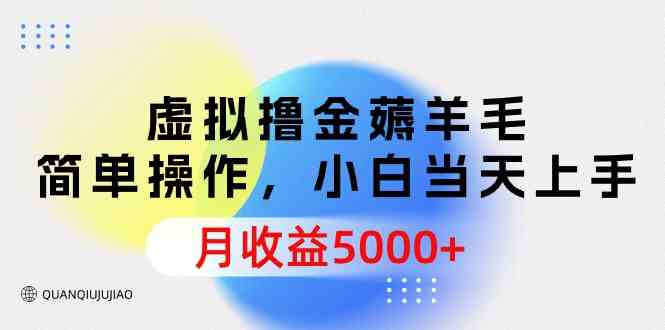 （9864期）虚拟撸金薅羊毛，简单操作，小白当天上手，月收益5000+云创资源网-云创-资源网云创资源