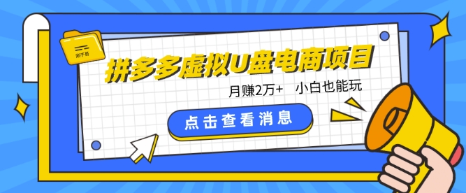 拼多多虚拟U盘电商红利项目：月赚2万+，新手小白也能玩云创资源网-云创-资源网云创资源