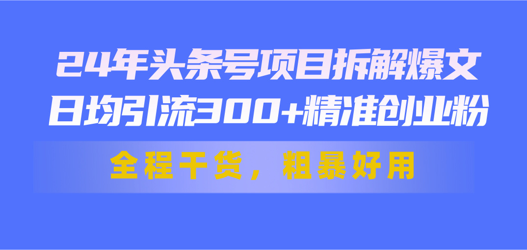 24年头条号项目拆解爆文，日均引流300+精准创业粉，全程干货，粗暴好用云创资源网-云创-资源网云创资源