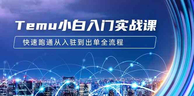 （9295期）Temu小白入门实战课：跨境拼多多电商培训 快速跑通从入驻到出单全流程-12节云创资源网-云创-资源网云创资源
