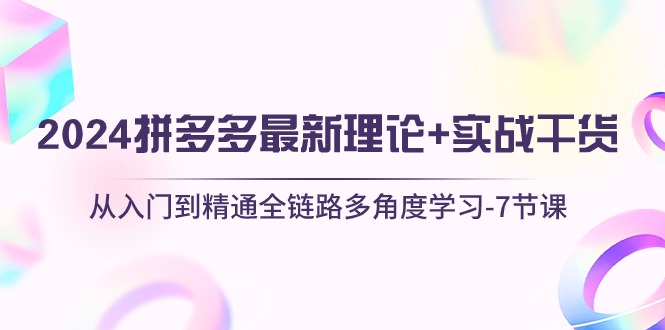 （10816期）2024拼多多 最新理论+实战干货，从入门到精通全链路多角度学习-7节课云创资源网-云创-资源网云创资源
