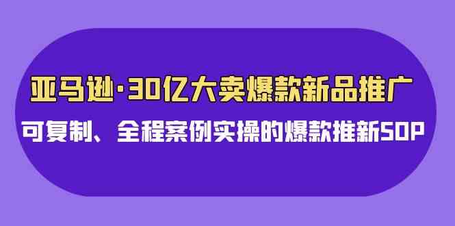 （9944期）亚马逊30亿·大卖爆款新品推广，可复制、全程案例实操的爆款推新SOP云创资源网-云创-资源网云创资源