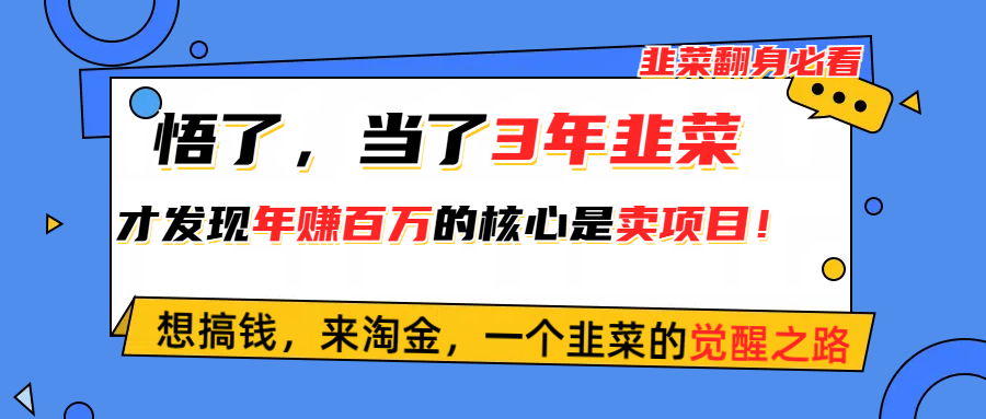 （10759期）悟了，当了3年韭菜，才发现网赚圈年赚100万的核心是卖项目，含泪分享！云创资源网-云创-资源网云创资源