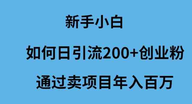 （9668期）新手小白如何日引流200+创业粉通过卖项目年入百万云创资源网-云创-资源网云创资源