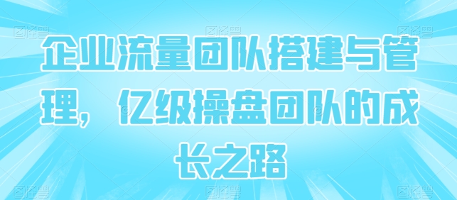 企业流量团队搭建与管理，亿级操盘团队的成长之路云创资源网-云创-资源网云创资源