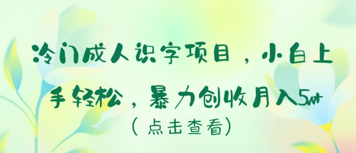 冷门成人识字项目，小白上手轻松，暴力创收月入5w+云创资源网-云创-资源网云创资源