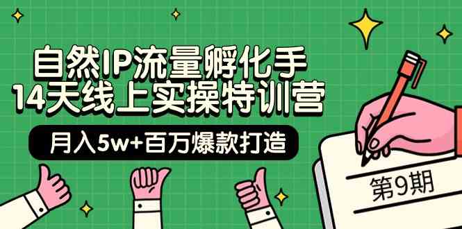 自然IP流量孵化手14天线上实操特训营【第9期】月入5w+百万爆款打造 (74节)云创资源网-云创-资源网云创资源