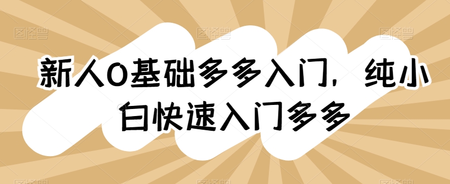 新人0基础多多入门，​纯小白快速入门多多云创资源网-云创-资源网云创资源