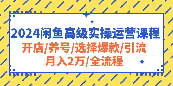 （10711期）2024闲鱼高级实操运营课程：开店/养号/选择爆款/引流/月入2万/全流程云创资源网-云创-资源网云创资源