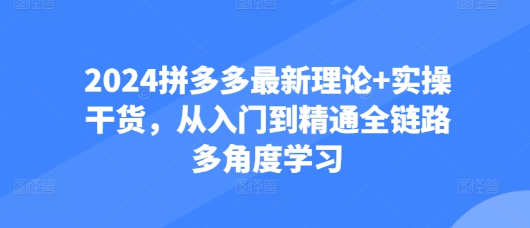 2024拼多多最新理论+实操干货，从入门到精通全链路多角度学习云创资源网-云创-资源网云创资源