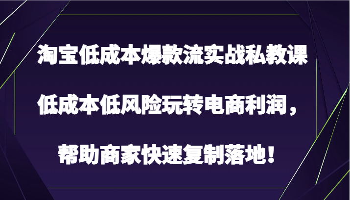 淘宝低成本爆款流实战私教课，低成本低风险玩转电商利润，帮助商家快速复制落地！云创资源网-云创-资源网云创资源