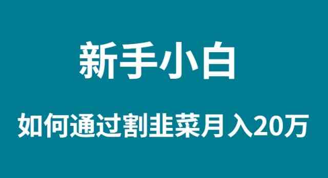 （9308期）新手小白如何通过割韭菜月入 20W云创资源网-云创-资源网云创资源
