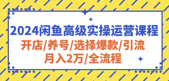 2024闲鱼高级实操运营课程：开店/养号/选择爆款/引流/月入2万/全流程云创资源网-云创-资源网云创资源