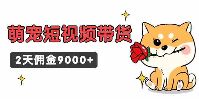 （9273期）东哲日记·萌宠短视频带货，2天佣金9000+云创资源网-云创-资源网云创资源