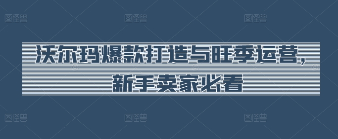 沃尔玛爆款打造与旺季运营，新手卖家必看云创资源网-云创-资源网云创资源