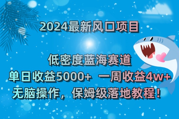 2024最新风口项目 低密度蓝海赛道，日收益5000+周收益4w+ 无脑操作云创资源网-云创-资源网云创资源