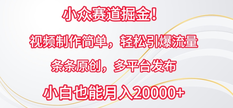 小众赛道掘金，视频制作简单，轻松引爆流量，条条原创，多平台发布云创资源网-云创-资源网云创资源