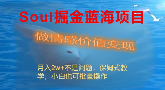 Soul掘金蓝海项目细分赛道，做情感价值变现，月入2w+不是问题云创资源网-云创-资源网云创资源