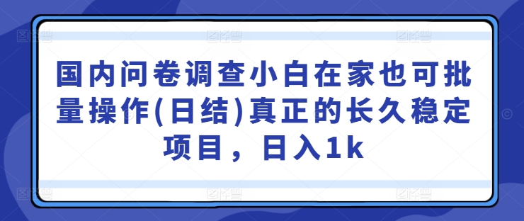 国内问卷调查小白在家也可批量操作(日结)真正的长久稳定项目，日入1k【揭秘】云创资源网-云创-资源网云创资源